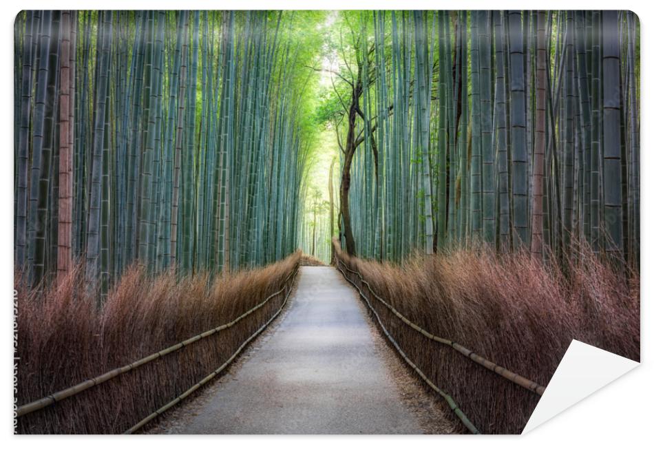 Fototapeta Bamboo forest in Arashiyama,
