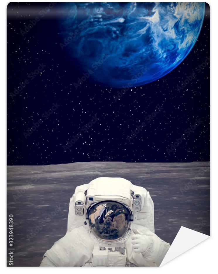 Fototapeta Astronaut on the alien planet.