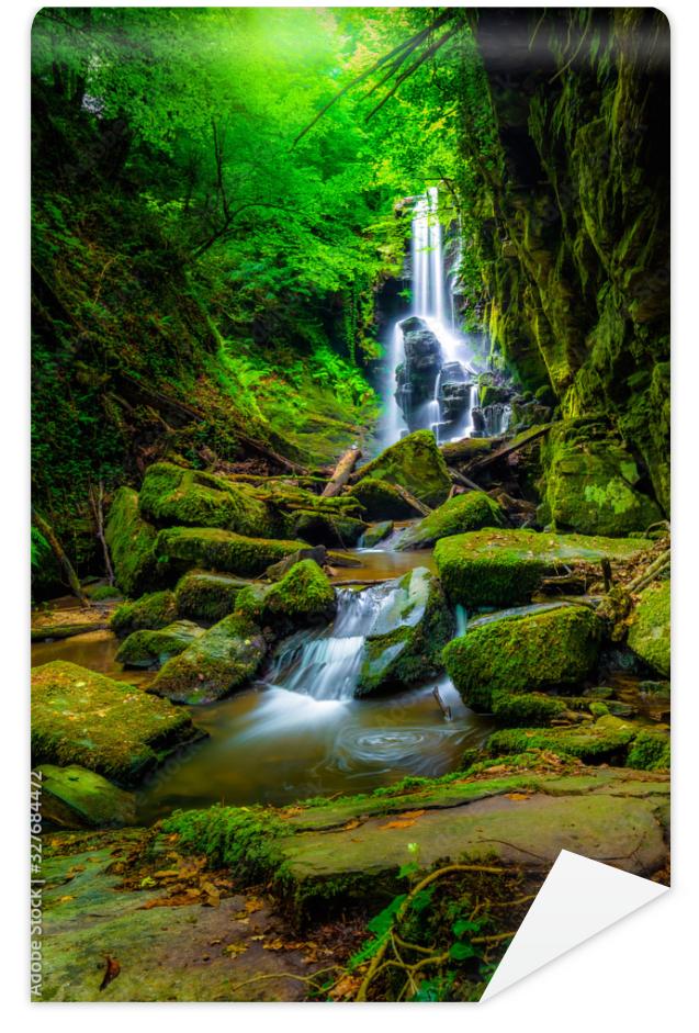 Fototapeta waterfall in the forest