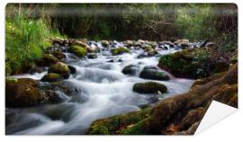 Fototapeta ruisseau de montagne