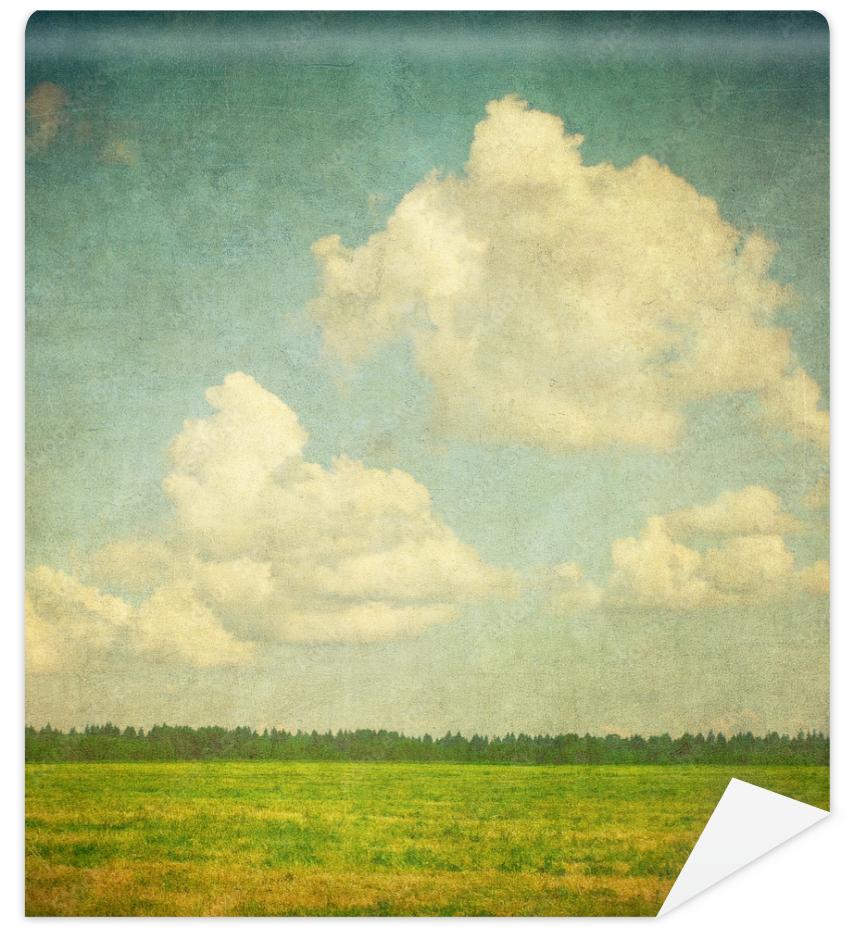 Fototapeta grunge image of a field