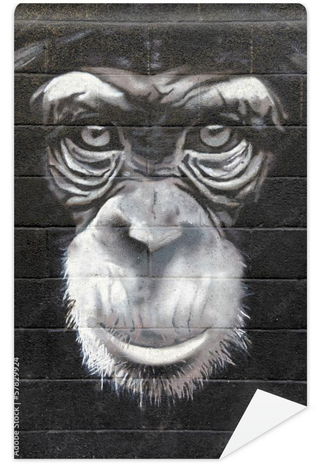 Fototapeta chimpanzé graffiti mono 0499f