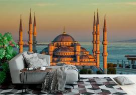 Fototapeta Blue mosque in Istanbul in
