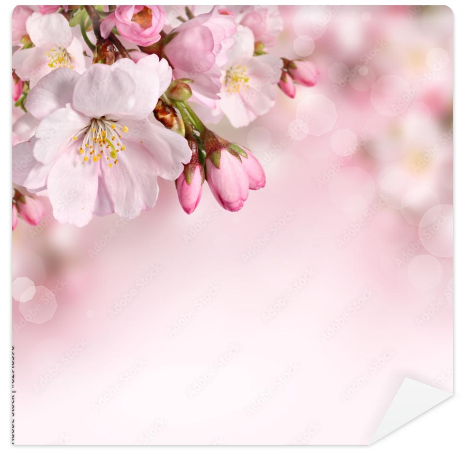 Fototapeta Spring flowers background with