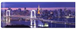 Fototapeta view of Tokyo Bay , Rainbow
