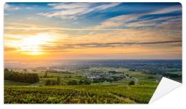 Fototapeta Sunrise at Beaujolais vineyard
