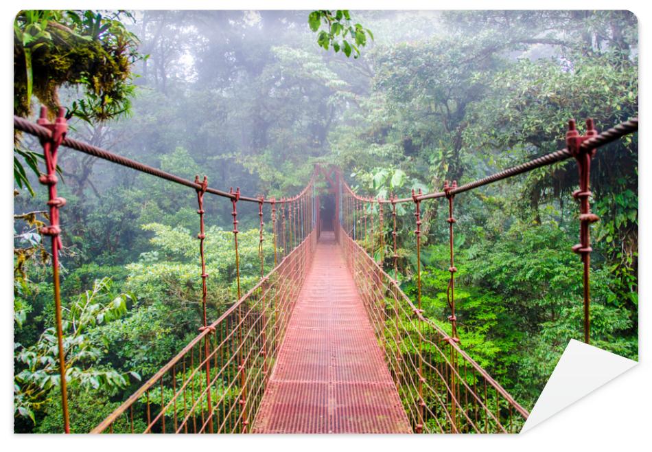 Fototapeta Bridge in Rainforest - Costa