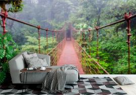 Fototapeta Bridge in Rainforest - Costa