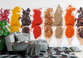 Fototapeta collection of spices on