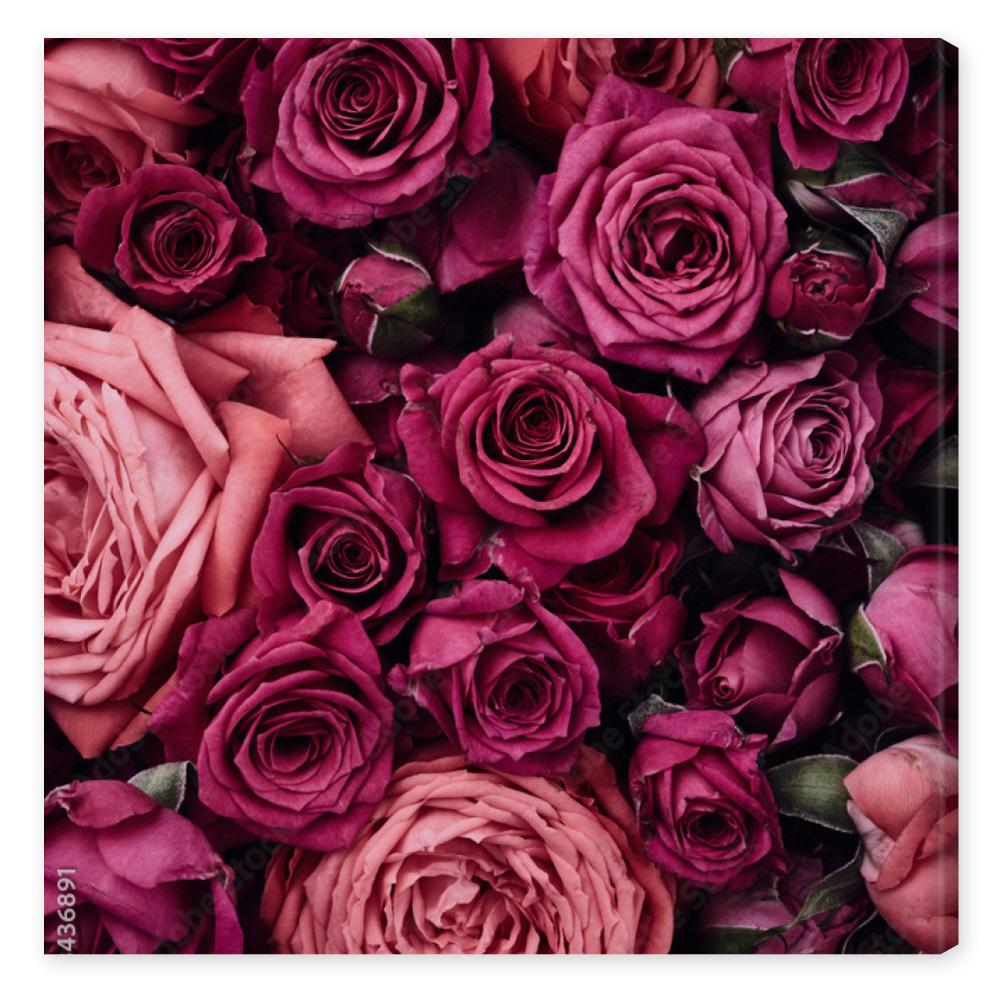 Obraz na płótnie Roses background