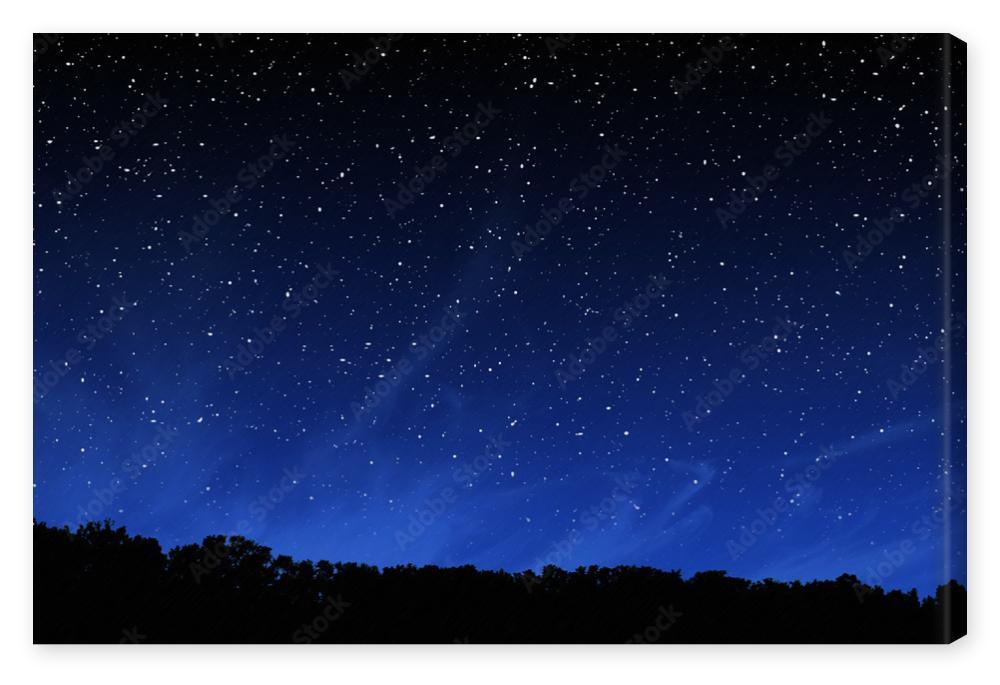 Obraz na płótnie Deep night sky with many stars