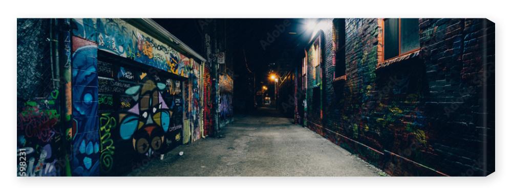 Obraz na płótnie Graffiti Alley at night, in