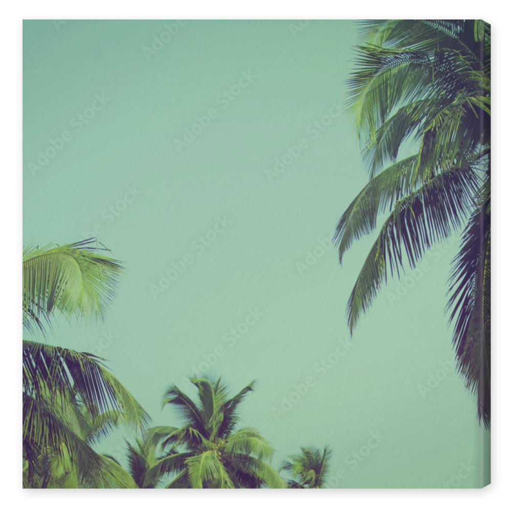 Obraz na płótnie Coconut palm trees at tropical