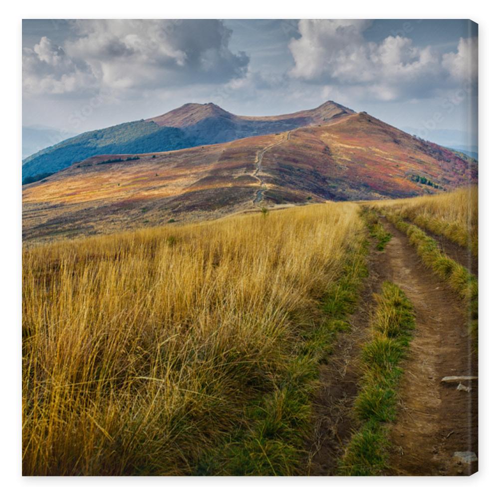 Obraz na płótnie Bieszczady - mountains in