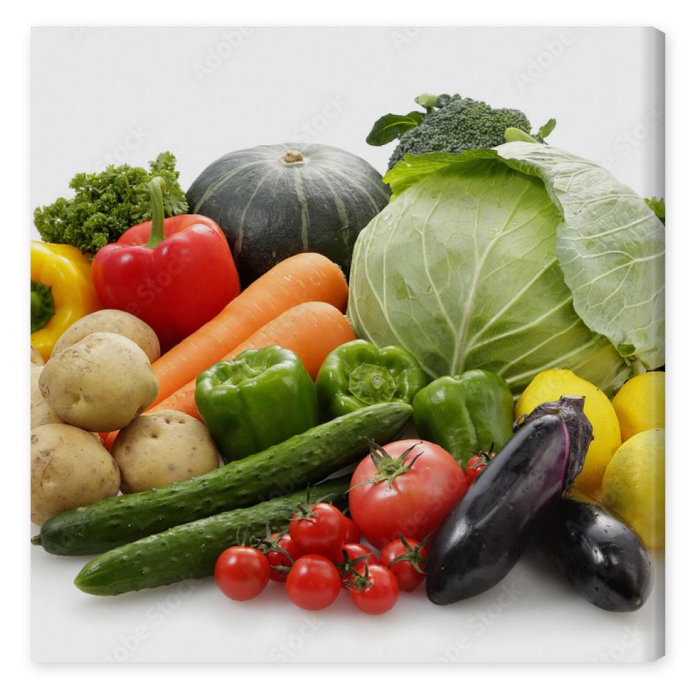 Obraz na płótnie 野菜の集合　Vegetable set