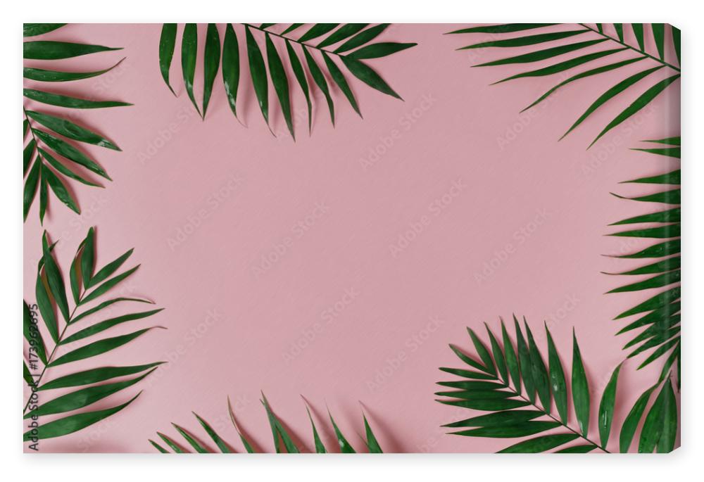 Obraz na płótnie green leaves of palm tree