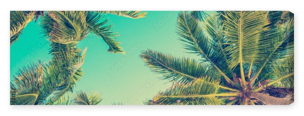 Obraz na płótnie Blue sky and palm trees view
