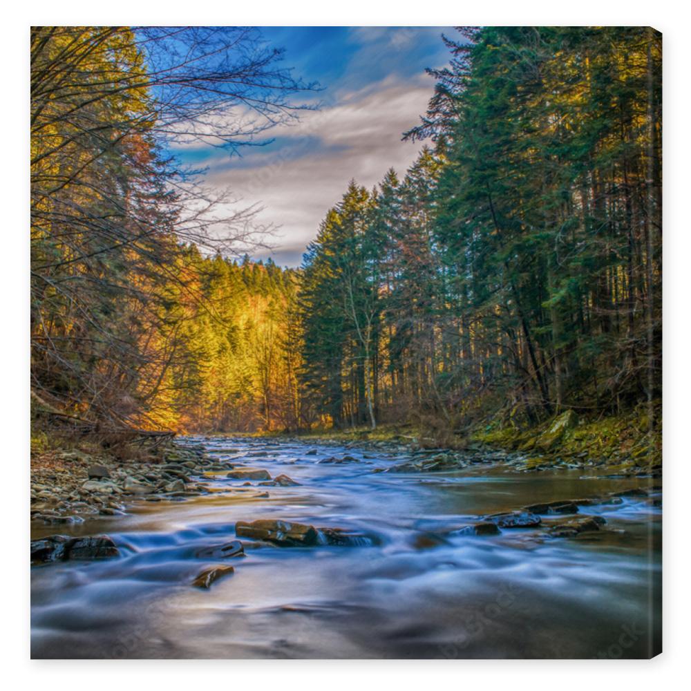 Obraz na płótnie Bieszczady National Park 