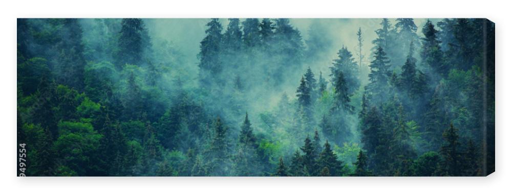 Obraz na płótnie Misty mountain landscape