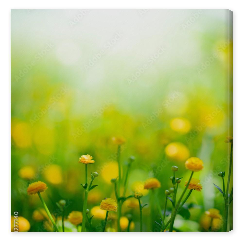 Obraz na płótnie Yellow spring flowers on green
