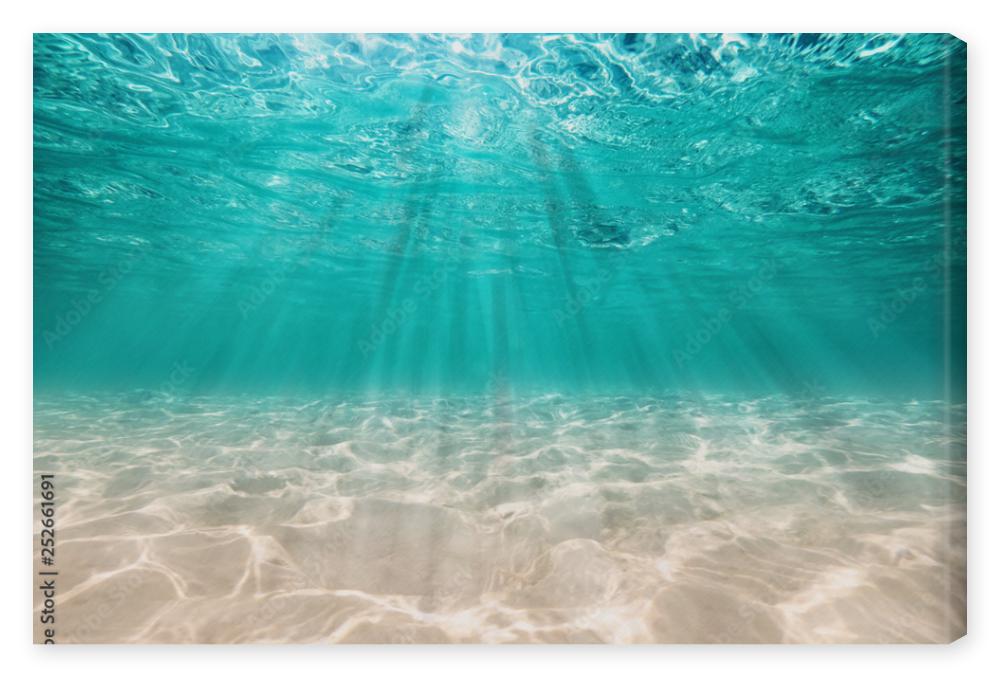 Obraz na płótnie underwater background  deep