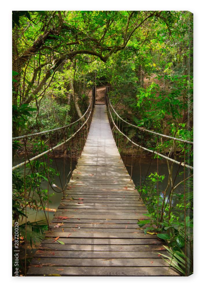 Obraz na płótnie Bridge to the jungle,Khao Yai