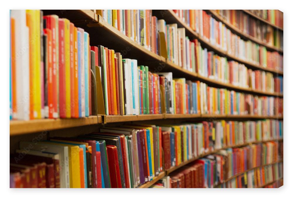 Obraz na płótnie Library with many shelves and
