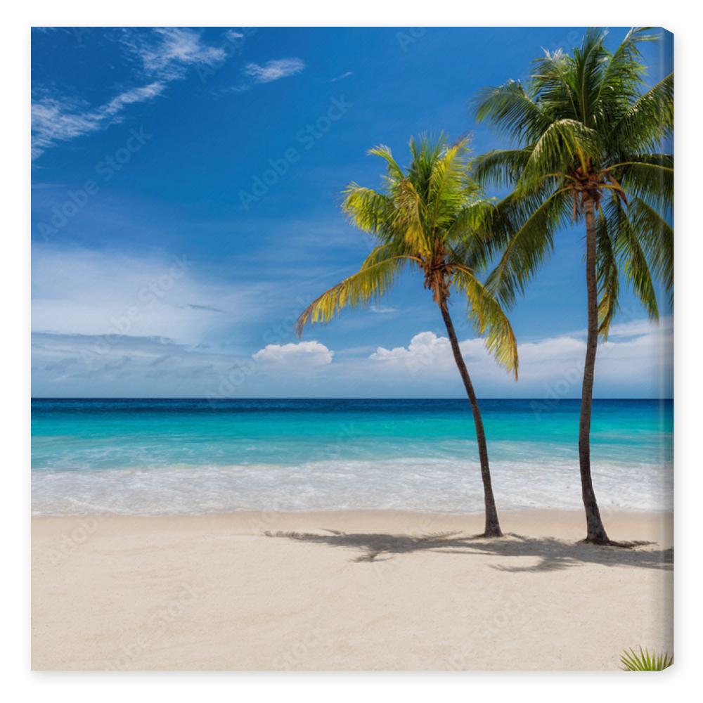 Obraz na płótnie Tropical white sand beach with