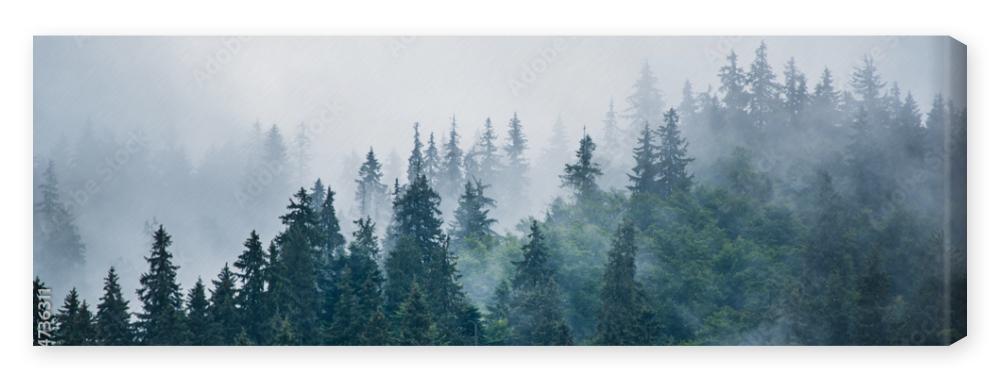 Obraz na płótnie Misty mountain landscape