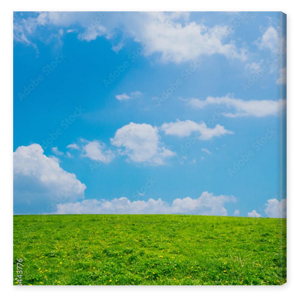 Obraz na płótnie 緑の草原と青空