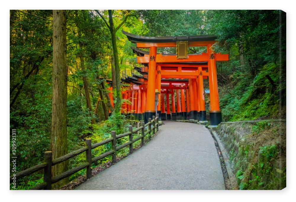 Obraz na płótnie Japan. Kyoto. The orange gates