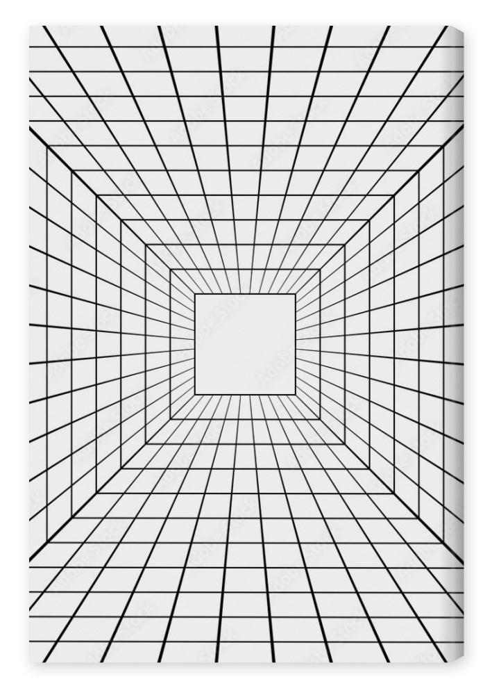 Obraz na płótnie 3D perspective mesh tunnel