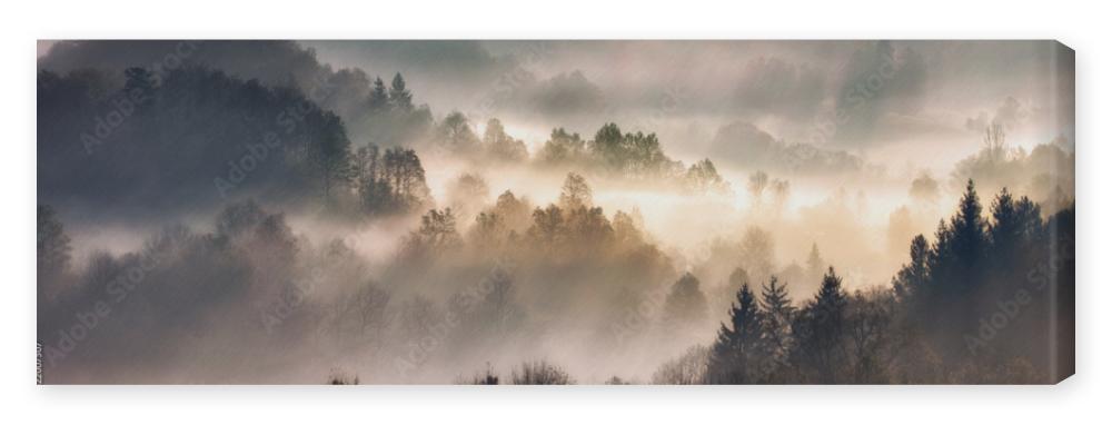 Obraz na płótnie Mist in forest with sunbeam