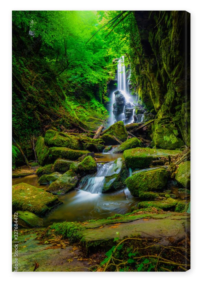 Obraz na płótnie waterfall in the forest