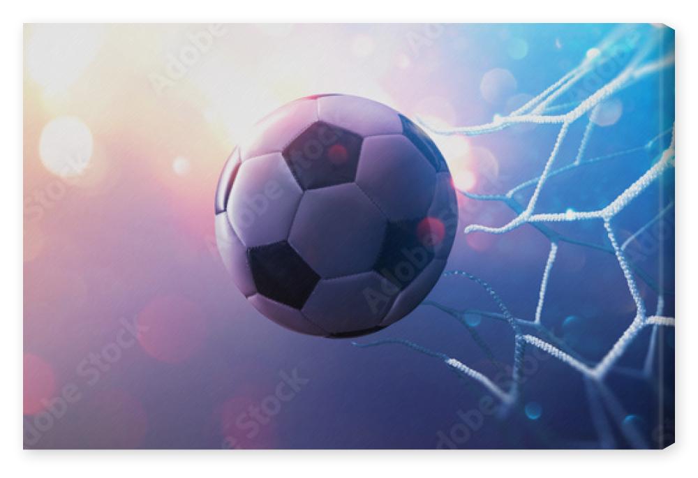 Obraz na płótnie Soccer Ball in Goal.