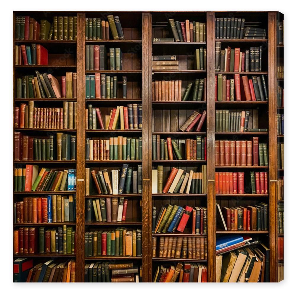 Obraz na płótnie Books on Shelves in Library or