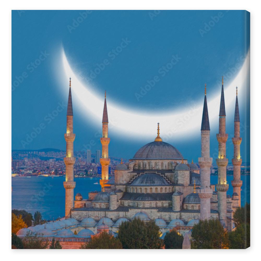 Obraz na płótnie The Sultanahmet Mosque (Blue