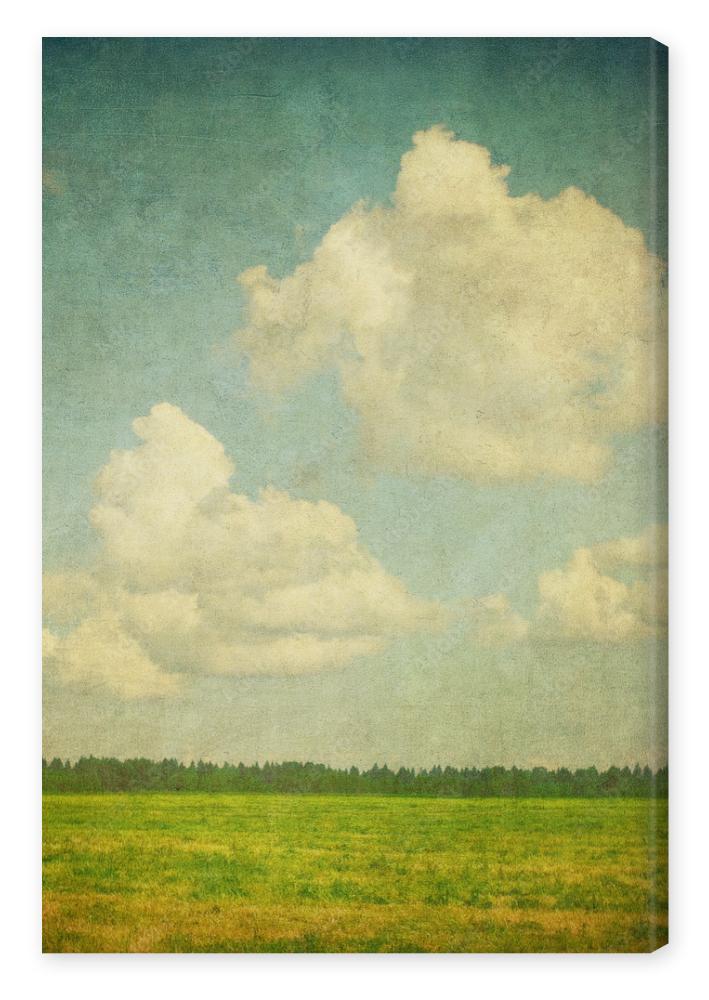 Obraz na płótnie grunge image of a field