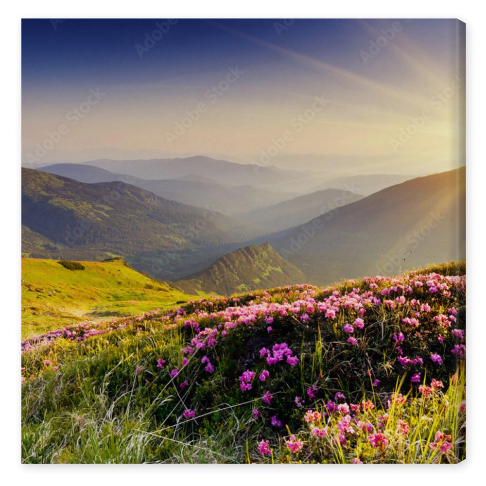 Obraz na płótnie mountain landscape