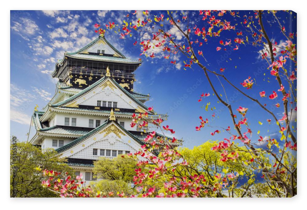 Obraz na płótnie Osaka castle for adv or others