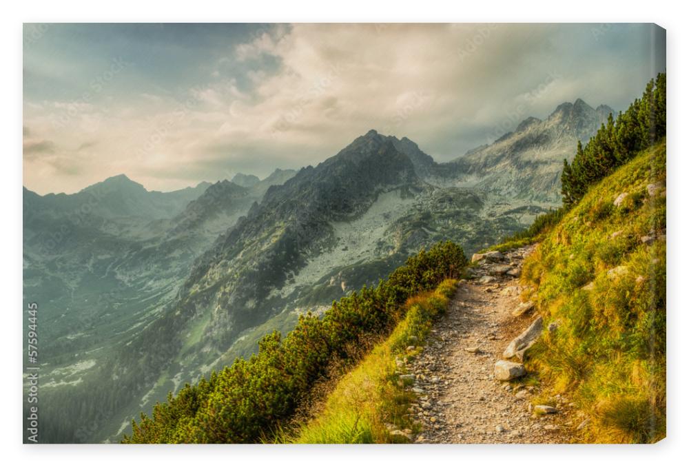 Obraz na płótnie path in mountains