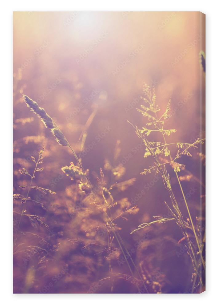 Obraz na płótnie Blurry vintage meadow