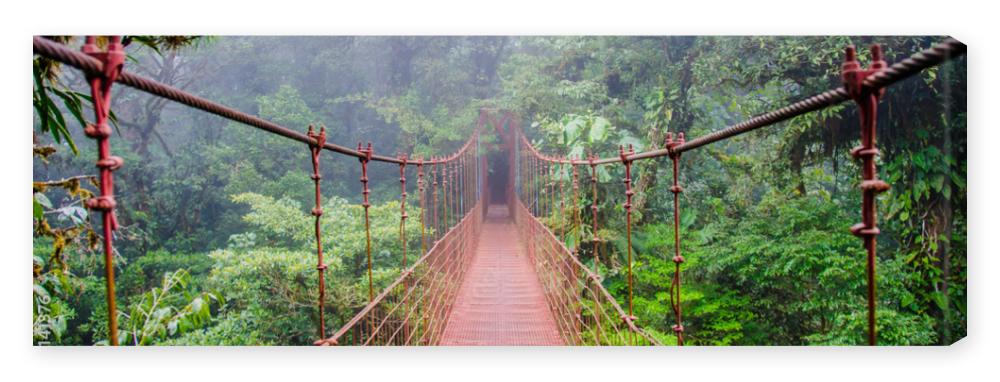 Obraz na płótnie Bridge in Rainforest - Costa
