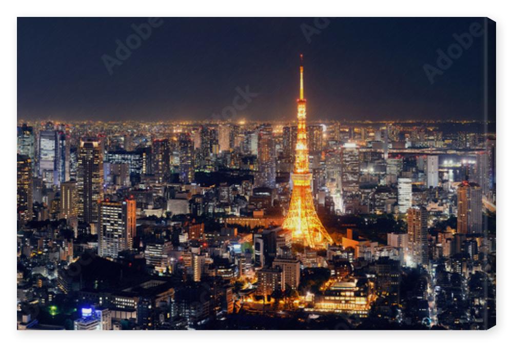 Obraz na płótnie Tokyo Skyline