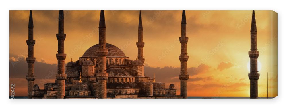 Obraz na płótnie The Blue Mosque in Istanbul