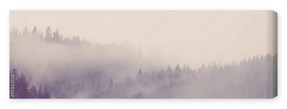 Obraz na płótnie Fog in the forest