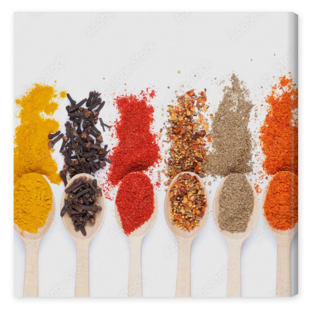 Obraz na płótnie collection of spices on