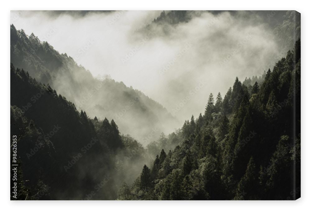 Obraz na płótnie High mountain in mist and