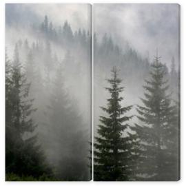 Obraz Dyptyk pine forest in mist