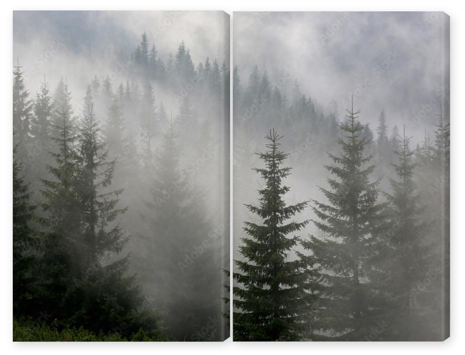 Obraz Dyptyk pine forest in mist